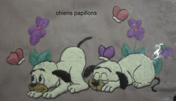 chiens papillons